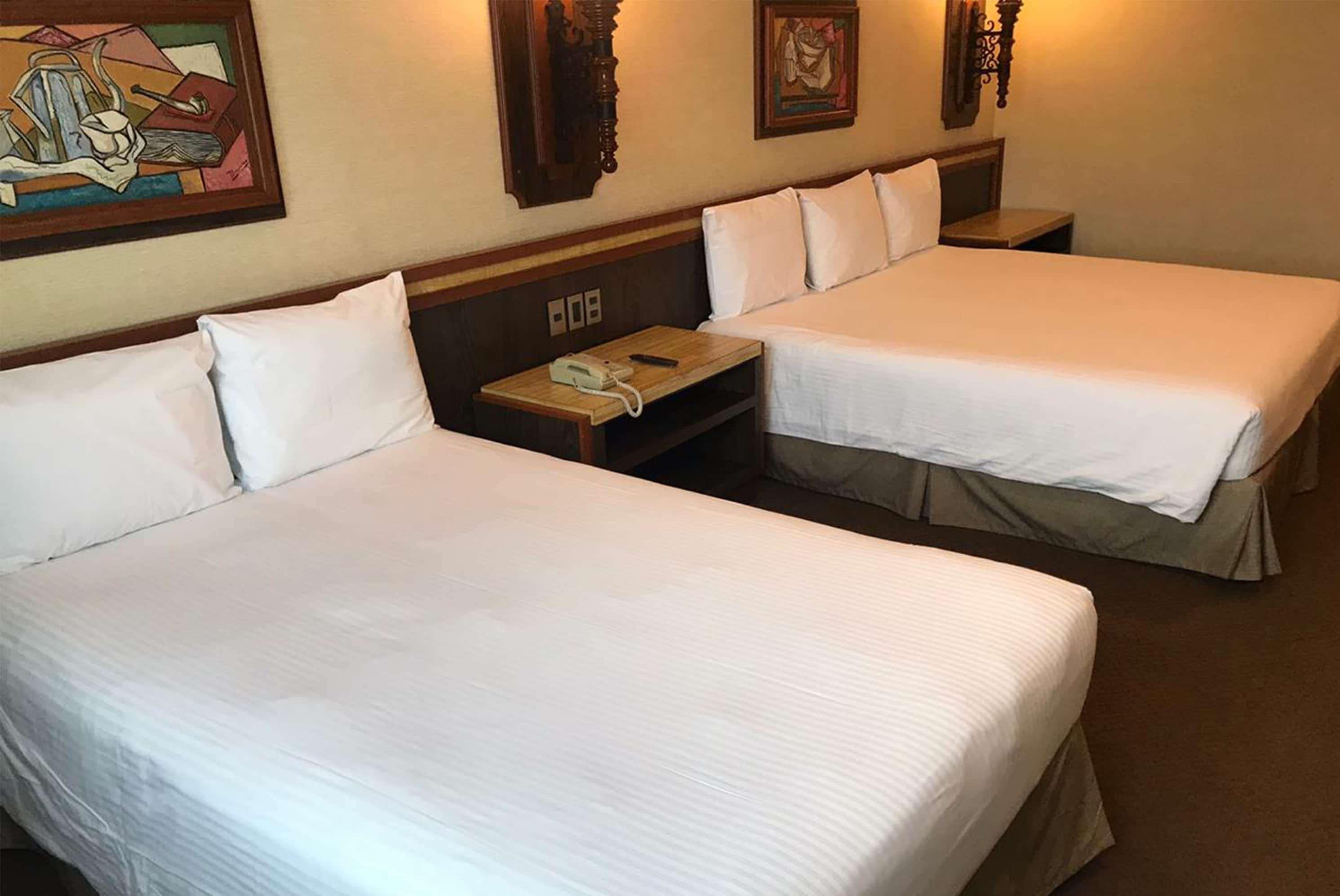 Exe Alameda Reforma Hotel Mexico City Luaran gambar